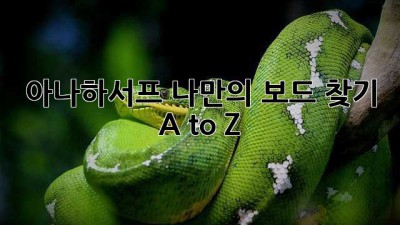 아나하서프🏄‍♀️ 나만의 보드 찾기 A to Z✨