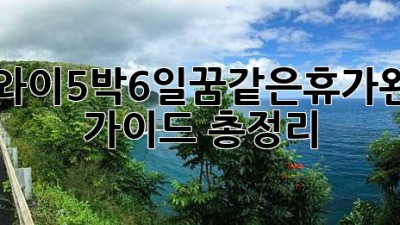 하와이5박6일🌴꿈같은휴가✨완벽 가이드 총정리